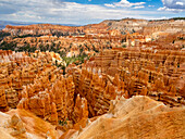 Red rock formations known as hoodoos in Bryce Canyon National Park, Utah, United States of America, North America