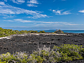 Pahoehoe lava on the youngest island in the Galapagos, Fernandina Island, Galapagos Islands, UNESCO World Heritage Site, Ecuador, South America