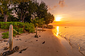 Blick auf den Strand und den Indischen Ozean bei Sonnenuntergang in Cap Malheureux, Mauritius, Indischer Ozean, Afrika