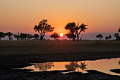 Sonnenuntergang über dem Okavango-Delta, Botsuana, Afrika