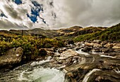 Blick auf Church Beck, der durch das Coppermines-Tal in das Coniston-Wasser fließt, Lake District Nationalpark, UNESCO-Welterbe, Cumbria, England, Vereinigtes Königreich, Europa