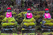 Narabi Jizo Buddha statues with red hat covered with Moss in Nikko, Tochigi, Honshu, Japan, Asia