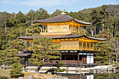Tempel des Goldenen Pavillons Kinkaku-ji, UNESCO-Welterbe, Kyoto, Honshu, Japan, Asien