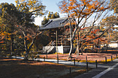 Kinkaku-ji temple garden in autumn, Kyoto, Honshu, Japan, Asia