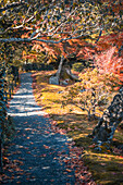 Kinkaku-ji Garten und See im Herbst, Kyoto, Honshu, Japan, Asien