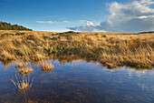 Herbst in den sumpfigen, offenen Mooren des Dartmoor, Gidleigh Common, bei Chagford, Dartmoor National Park, Devon, England, Vereinigtes Königreich, Europa