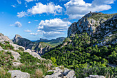 Formentor peninsula, Mallorca, Balearic islands, Spain, Mediterranean, Europe