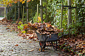 Pruning plane trees