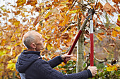 Pruning plane trees