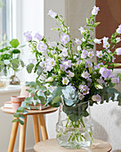 Campanula medium Champion bouquet lavender