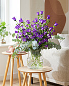 Campanula medium Champion bouquet blue