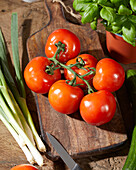 Tomato, Solanum lycopersicum