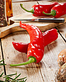 Red sweet pepper, Capsicum annuum