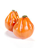 Fleischtomate, Solanum lycopersicum Coeur de Boeuf