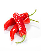 Roter Gemüsepaprika, Capsicum annuum