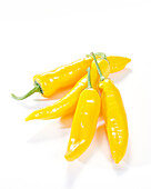 Yellow sweet pepper, Capsicum annuum