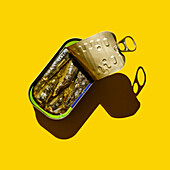 Sardine in Blechdose auf gelbem Hintergrund