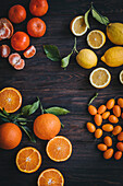 Oranges, mandarins, lemons and kumquats on a dark wooden background