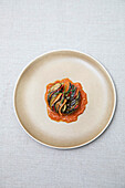 A modern take on ratatouille or mixed steamed vegetables, served on a ceramic plate