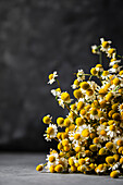 Bouquet of organic chamomile above the table