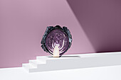 Cross section of sliced purple cabbage placed over white stepped plain surface against purple background in studio