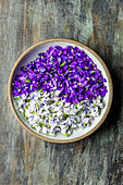 Violets, purple amd white in Bowl