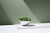 Fresh green broccoli growing in a white bowl on a plain table against a grey background under a bright beam of light