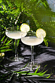 Lime daiquiri exotic summer cocktail, flying drops. Tropical background with palm leaves
