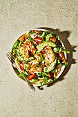 Halloumi and avocado tomato salad with sunflower seeds, yoghurt dressing, herbs and water on a green background with shade