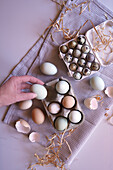Araucana chicken free-range eggs, including blue and green colours, with Japanese jumbo quail eggs flatlay