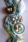 Eier von Araucana-Hühnern aus Freilandhaltung, einschließlich blauer und grüner Farben, mit japanischen Jumbo-Wachteleiern. Kreatives Konzept Flatlay