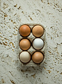 Eggs in cardboard carton on stone background