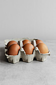 Free-range eggs in a carton