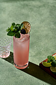 Beverage photograph of a blackberry mojito garnished with fresh mint, a blackberry, and a dried lime slice.