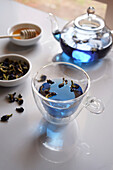 Blue butterfly pea flower tea with glass teapot and cup closeup.