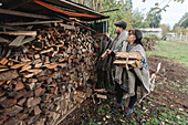 Full body shot of a focussed elderly couple in Mapuche clothing picking up logs while spending time in the countryside with dogs in Temuco