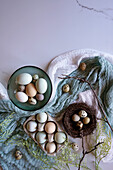 Free-range Araucana chicken eggs, including blue and green colours, with Japanese jumbo quail eggs flatlay. Negative copy space