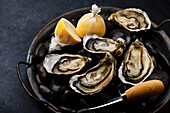 Fresh oysters with lemon and knife on stones against a dark background