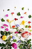 Nutritious edible flowers, roses, geraniums, hydrangeas, courgette squash, nasturtiums and plumbago to add flavour, texture and colour to dishes. Creative layout flatlay