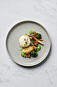 Burrata, vincotto grape salad, roasted fennel & broccoli, pickled walnuts, apple gel