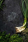 Various green vegetables on a black background, with copy space