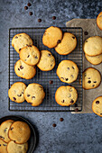 Chocolate biscuits. Biscuits on a grey background