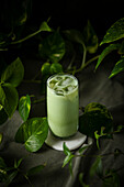 A healthy Iced Matcha with Houseplants