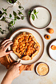 A French apricot galette dessert