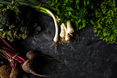 Assorted vegetables over black background, copy space