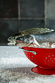 Whole fresh raw salmon or trout