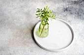 High angle of table decoration with fresh pistachio plant placed in transparent vase on plate against gray surface in daylight