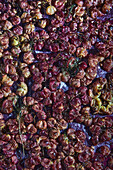 Vollbildhintergrund mit verschiedenen gebackenen Weintrauben, die auf Pergamentpapier mit Estragon angeordnet sind
