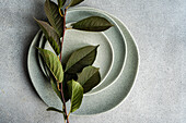 A branch of fresh cherry leaves elegantly presented on ceramic plates on a textured grey surface