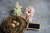 Top view of nest with eggs and hyacinth flowers on concrete background as a Easter card concept